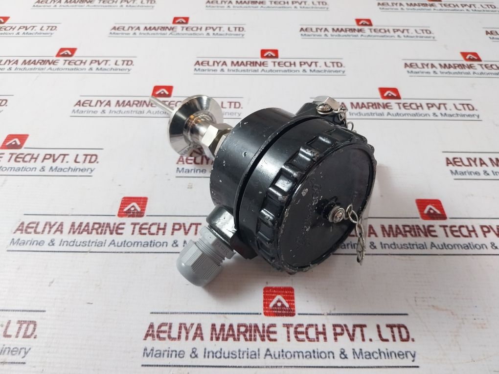 General Instruments 2Xpt100 Temperature Sensor