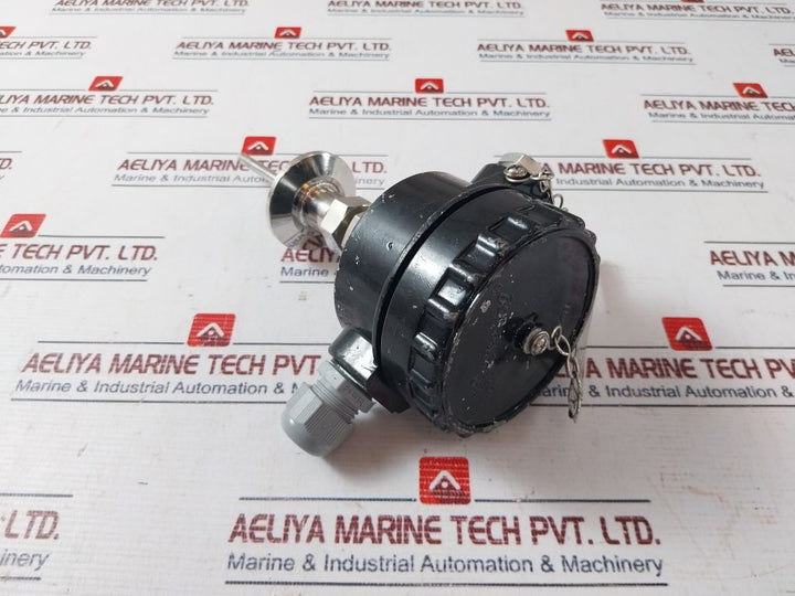 General Instruments 2Xpt100 Temperature Sensor