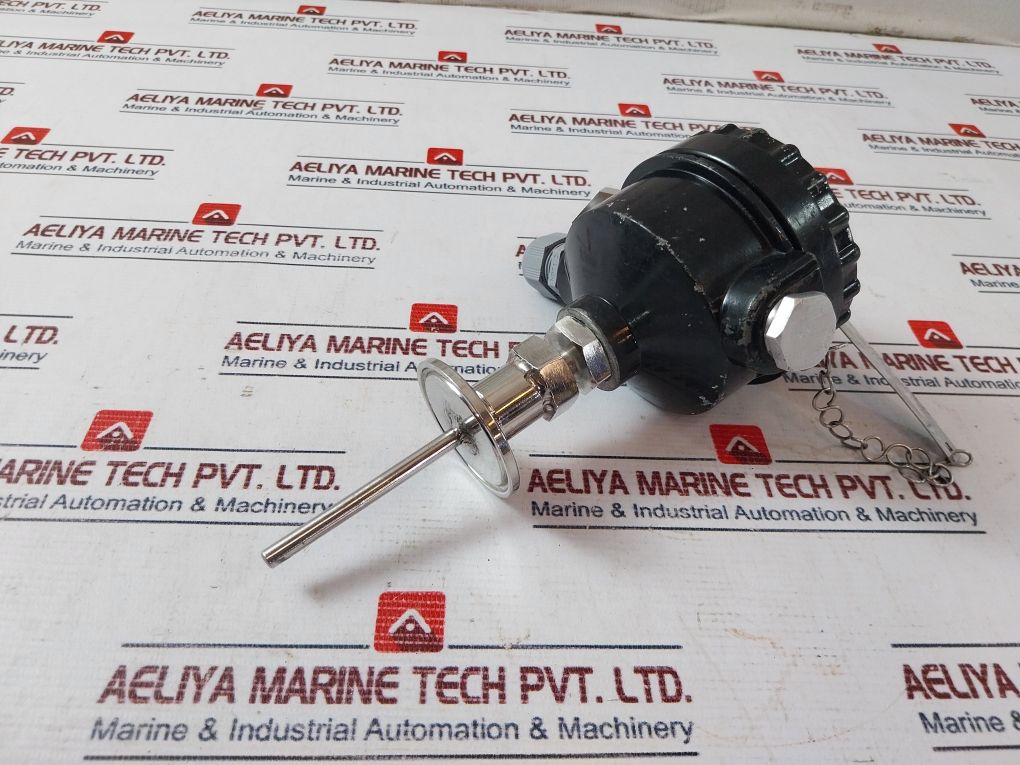 General Instruments 2Xpt100 Temperature Sensor