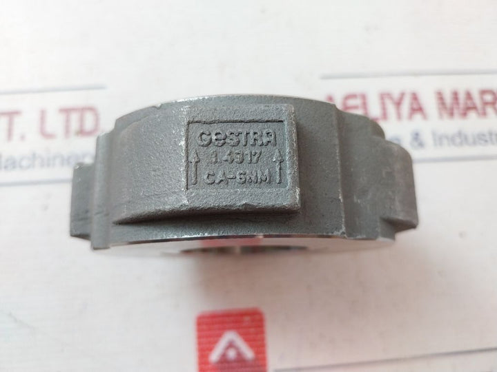 Gestra Rk 86 Check Valve