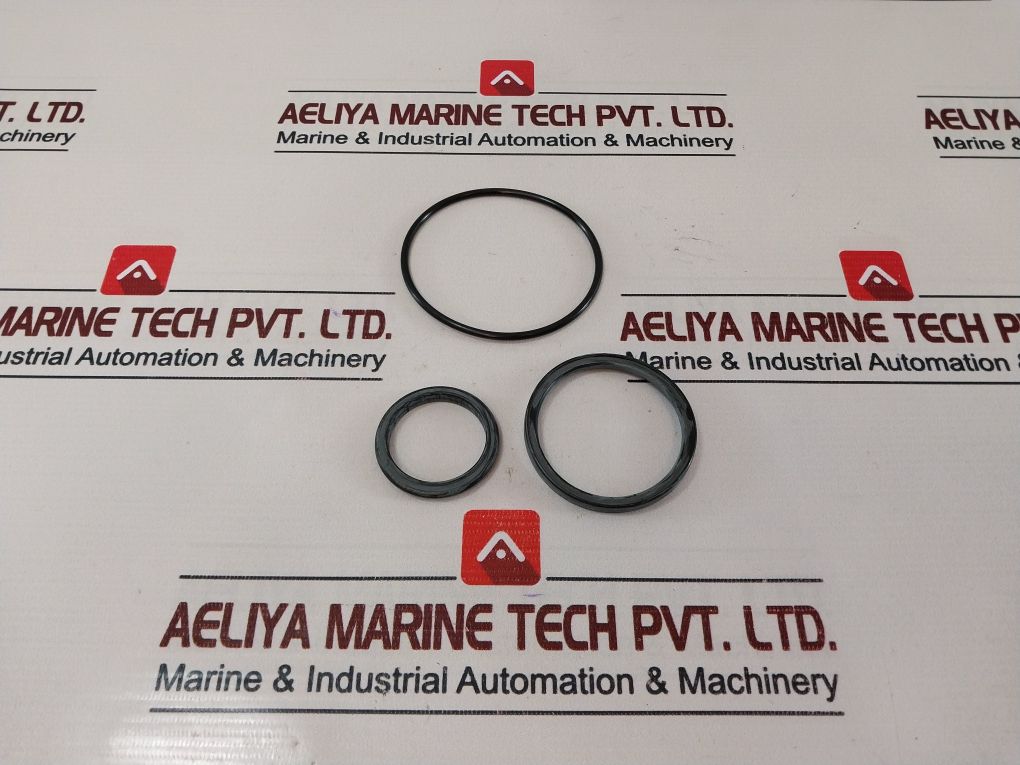 Gilmore 25923 Rk Repair Kit 1/1/2” Spm 7401944