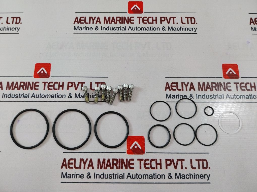 Gilmore 44819-96 Rk Repair Kit 2170402-03-99