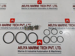 Gilmore 44819-96 Rk Repair Kit 2170402-03-99