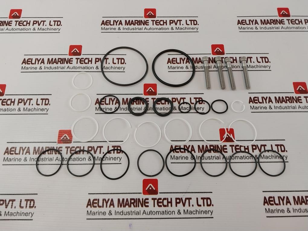 Gilmore 60174-3 Rk Regulator Valve Repair Kit 20005753