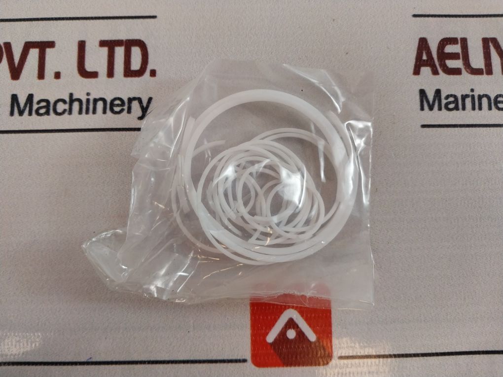 Gilmore 60174-8 Rk Regulator-sh Valve Repair Kit 10607543-001