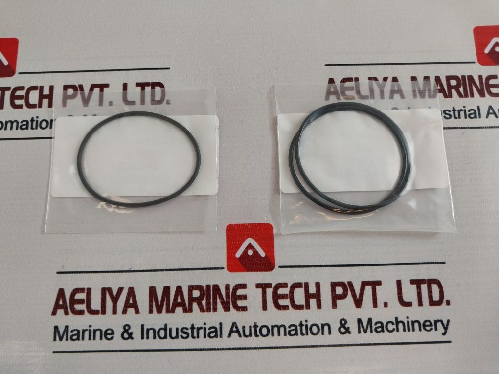 Gilmore 60174-8 Rk Regulator-sh Valve Repair Kit 10607543-001