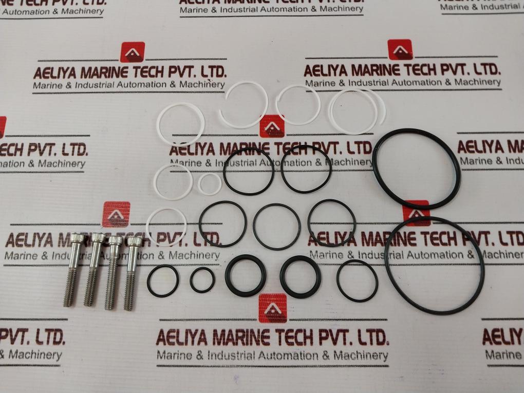 Gilmore 60174 Rk Valve Repair Kit 9910313