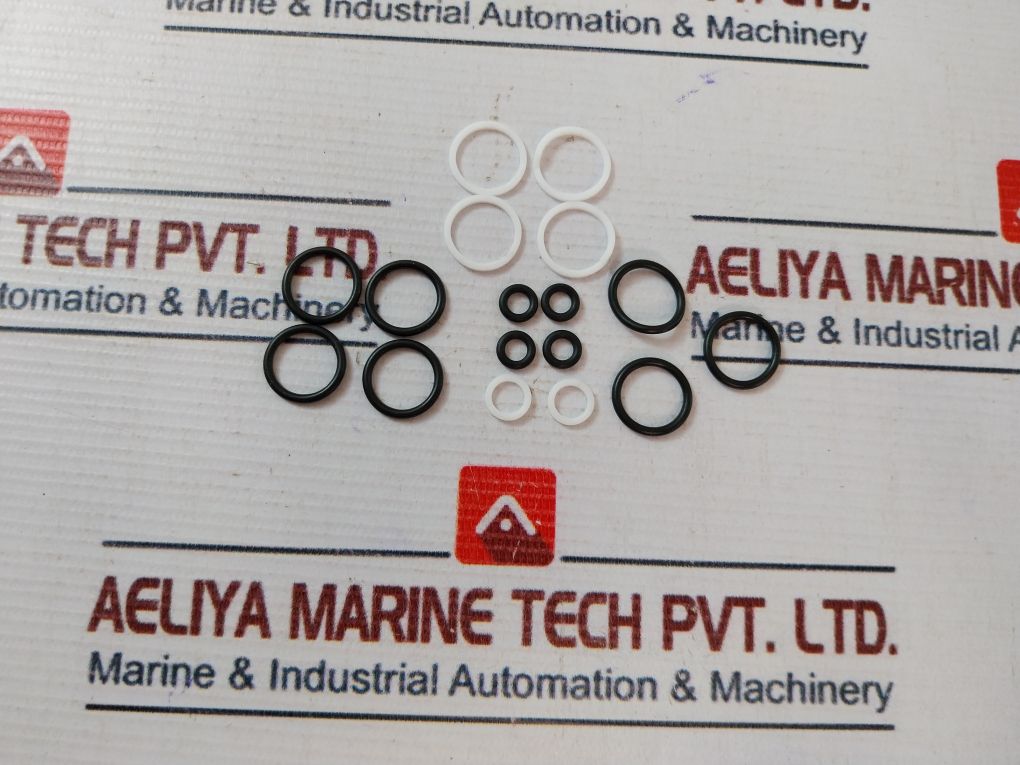 Gilmore 7400942+20 Repair Kit For 1/2 In Regulator Rev F