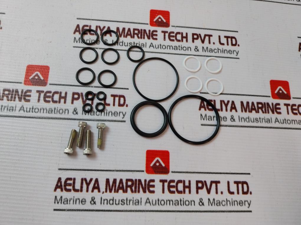 Gilmore 7400942+20 Repair Kit For Regulator Rev F