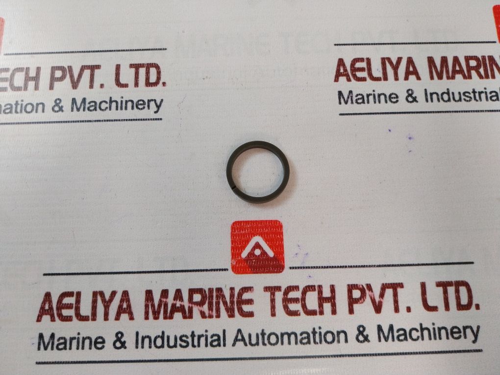 Gilmore 7401918 Repair Kit 25916 Rk