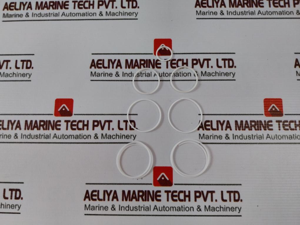 Gilmore 9910313 Repair Kit For 1000583 1” Shear Regulator