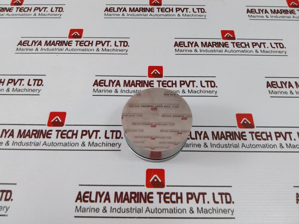 Gilmore 9910313 Repair Kit For 1000583 1” Shear Regulator