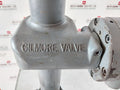 Gilmore Valve 44819-99 Dual Inlet Pressure Regulator Rev H