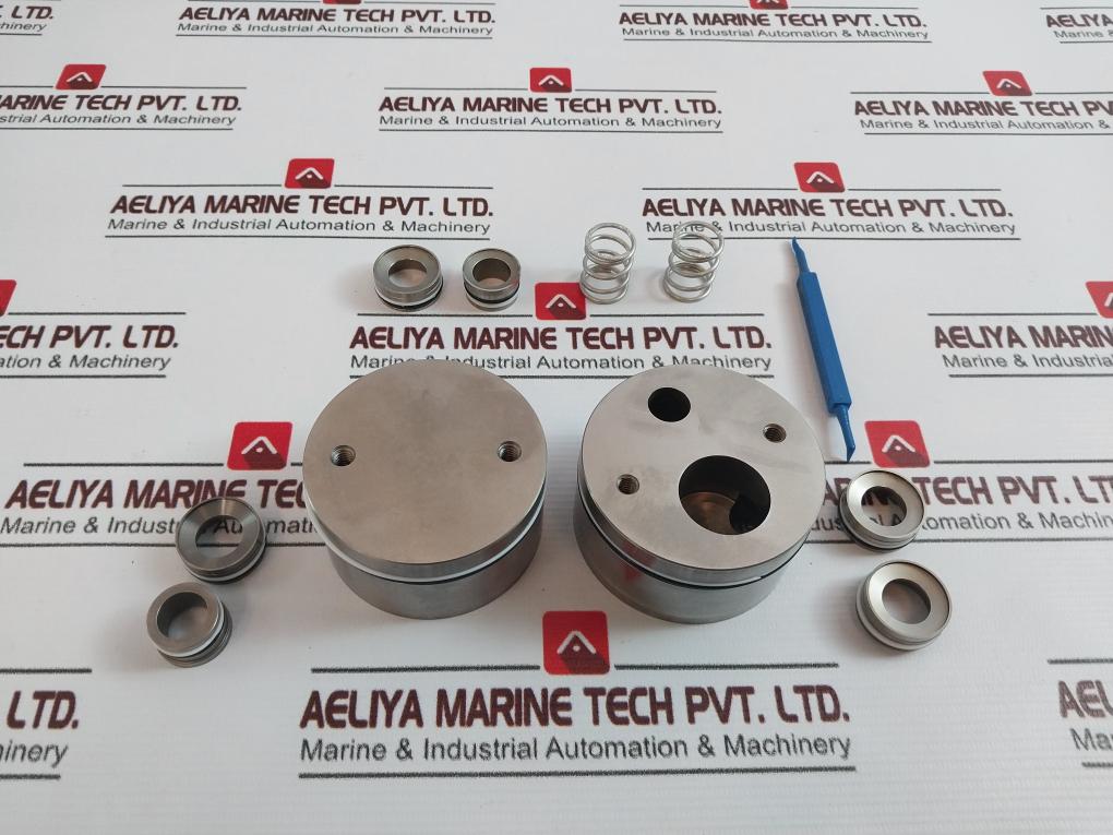 Gilmorevalve 60174 Rk Repair Kit For 1000583 1” Shear Regulator