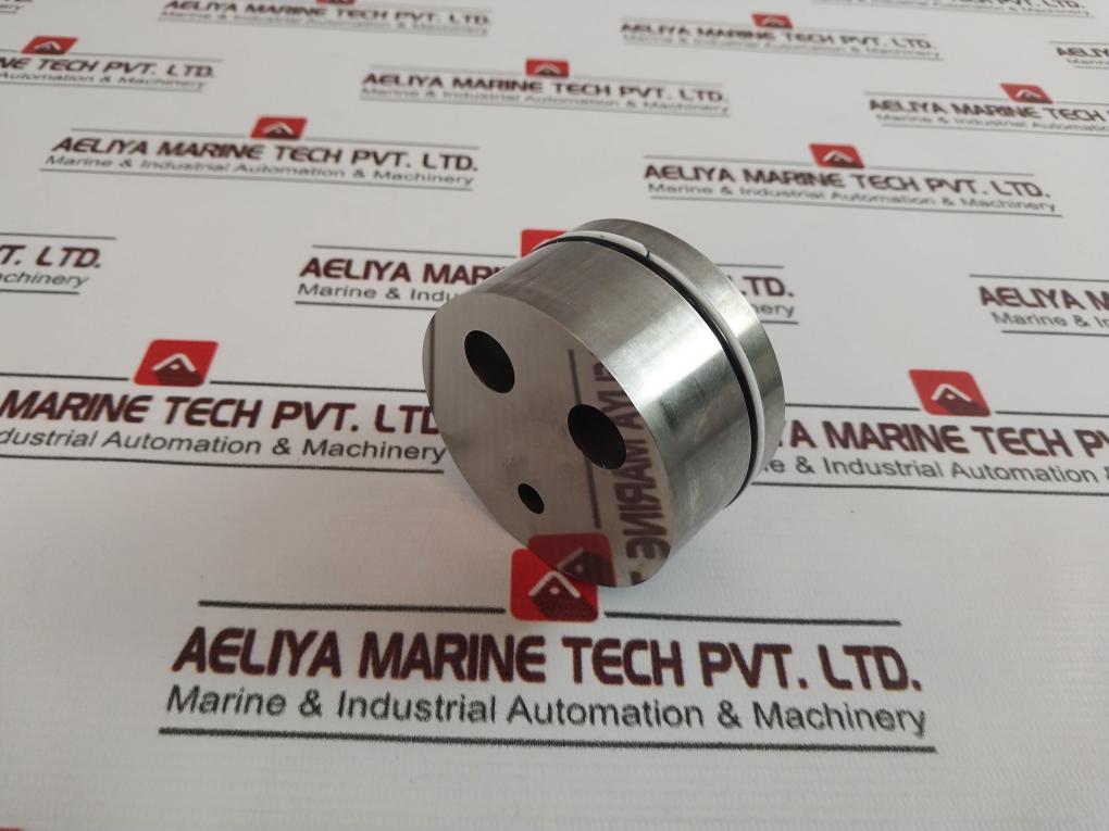 Gilmorevalve 60174 Rk Repair Kit For 1000583 1” Shear Regulator