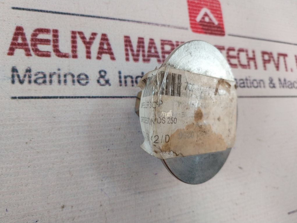 Girdleston Impeller Cap Pos.250