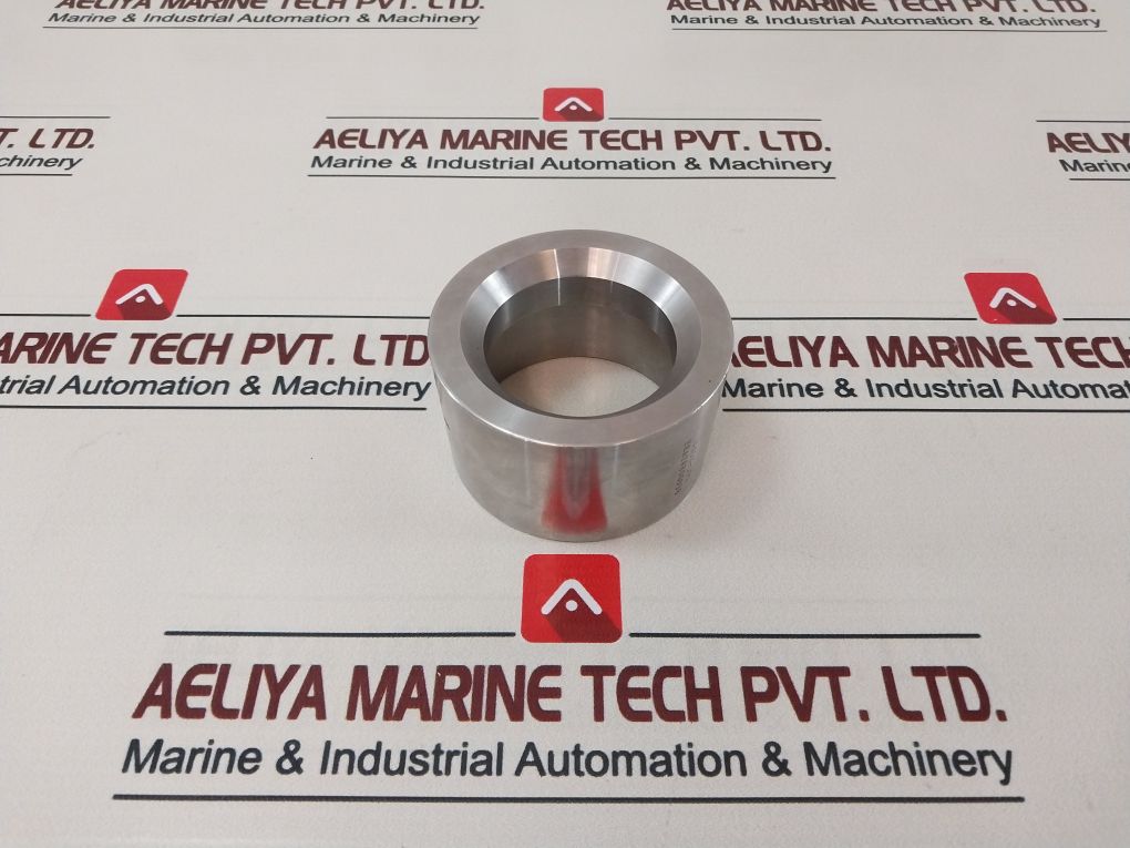 Gm98-305 806038 Seal Ring