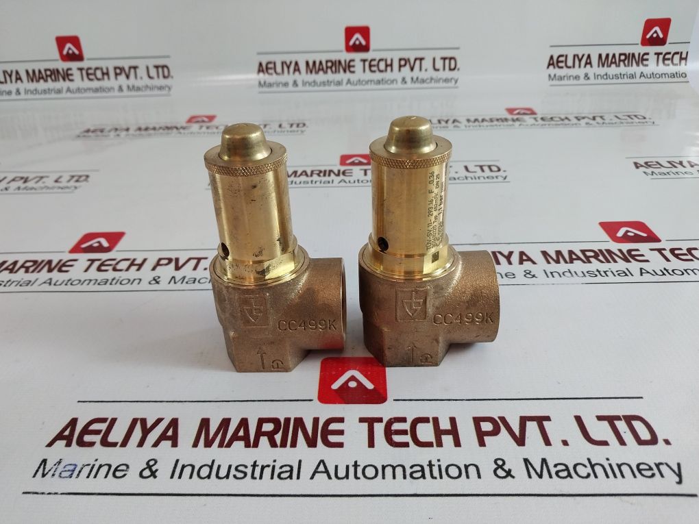 Goetze Cc499K Safety Valve 6523Fk Dn25