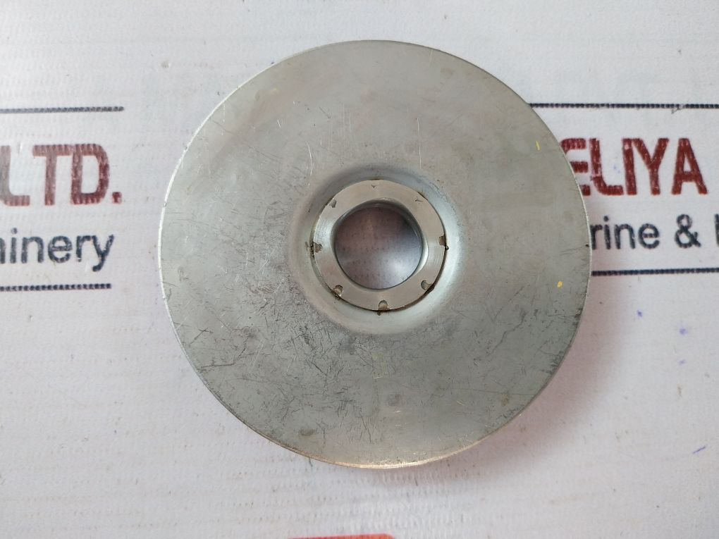 Grundfos 213838 Impeller Pump