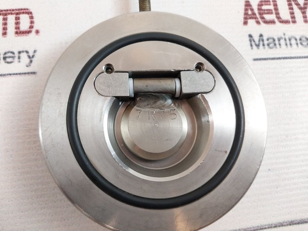 H.E.R.B.E. Dn 40 Wafer Swing Check Valve