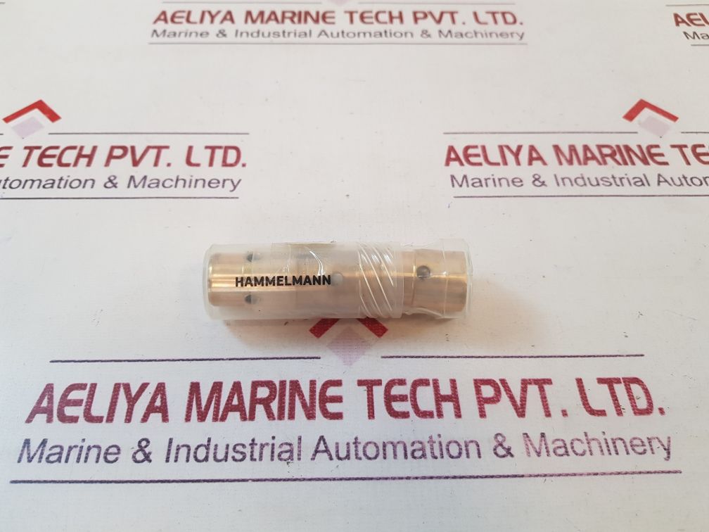 Hammelmann 01.00742.0210 Spare Parts Set
