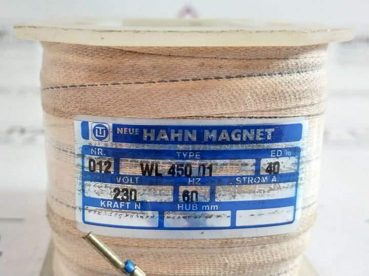 Hahn Magnet Wl 450 01