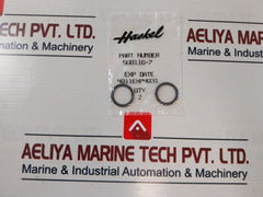 Haskel A Skis-008 Seal Fluid Section Air Driven Pump Kit