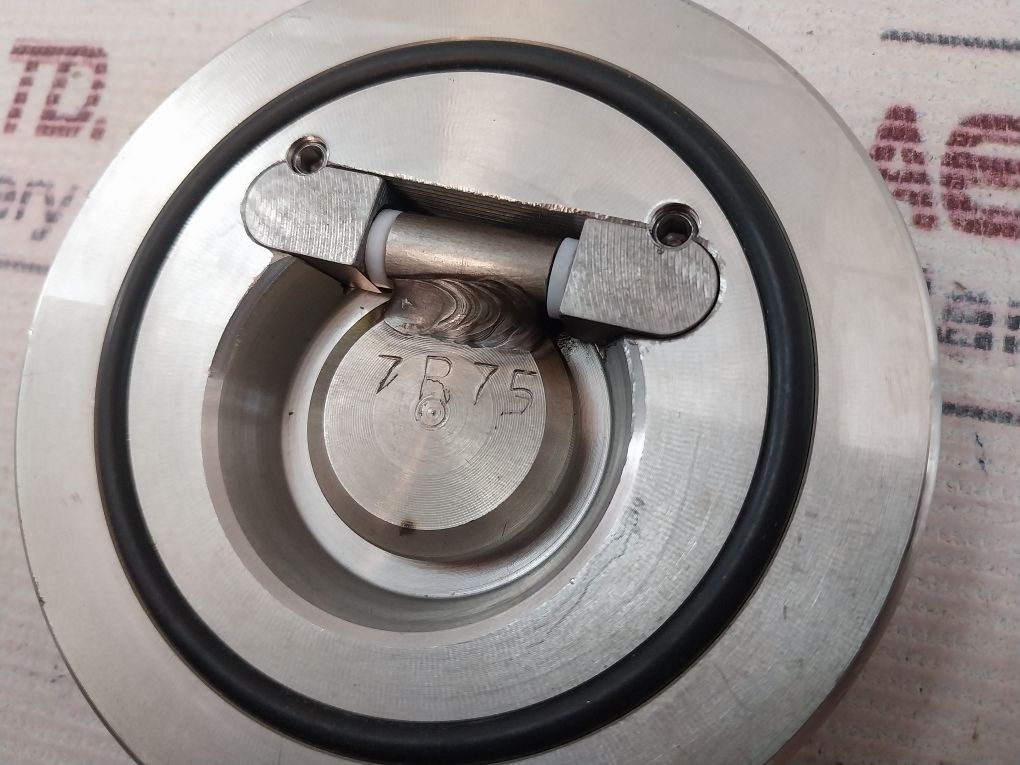 Herbe Dn 40 Wafer Style Steel Body Check Valve