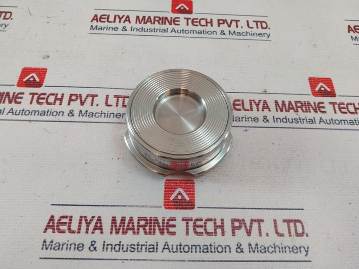 Herbe Dn 50/Pn 40 Check Valve