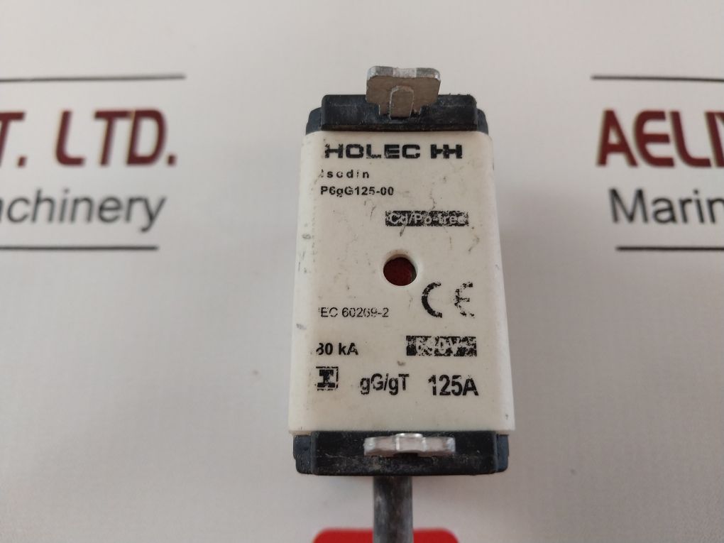 Holec Hh P6Gg125-00 Fuse