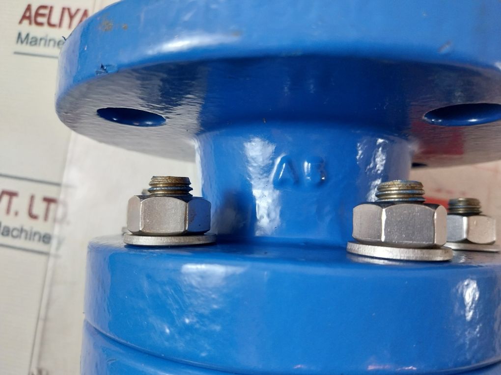 Honeywell Rv283P-50A Check Valve 50Pn16Gg25