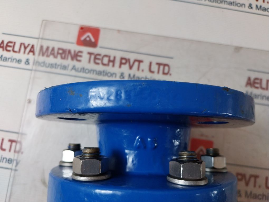 Honeywell Rv283P-50A Check Valve 50Pn16Gg25