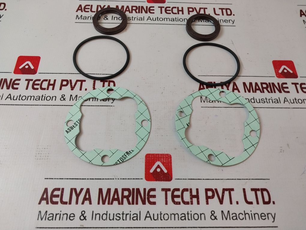 Lot Of 2X Huisman 6004383 Screw Pump Seal Kit