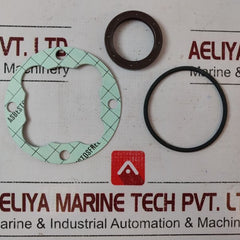 Lot Of 2X Huisman 6004383 Screw Pump Seal Kit