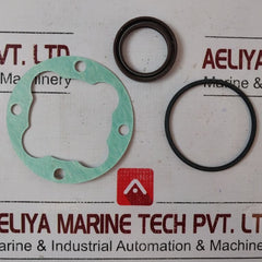 Lot Of 2X Huisman 6004383 Screw Pump Seal Kit