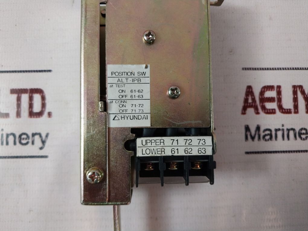 Hyundai Alt-ipb Free Shipping