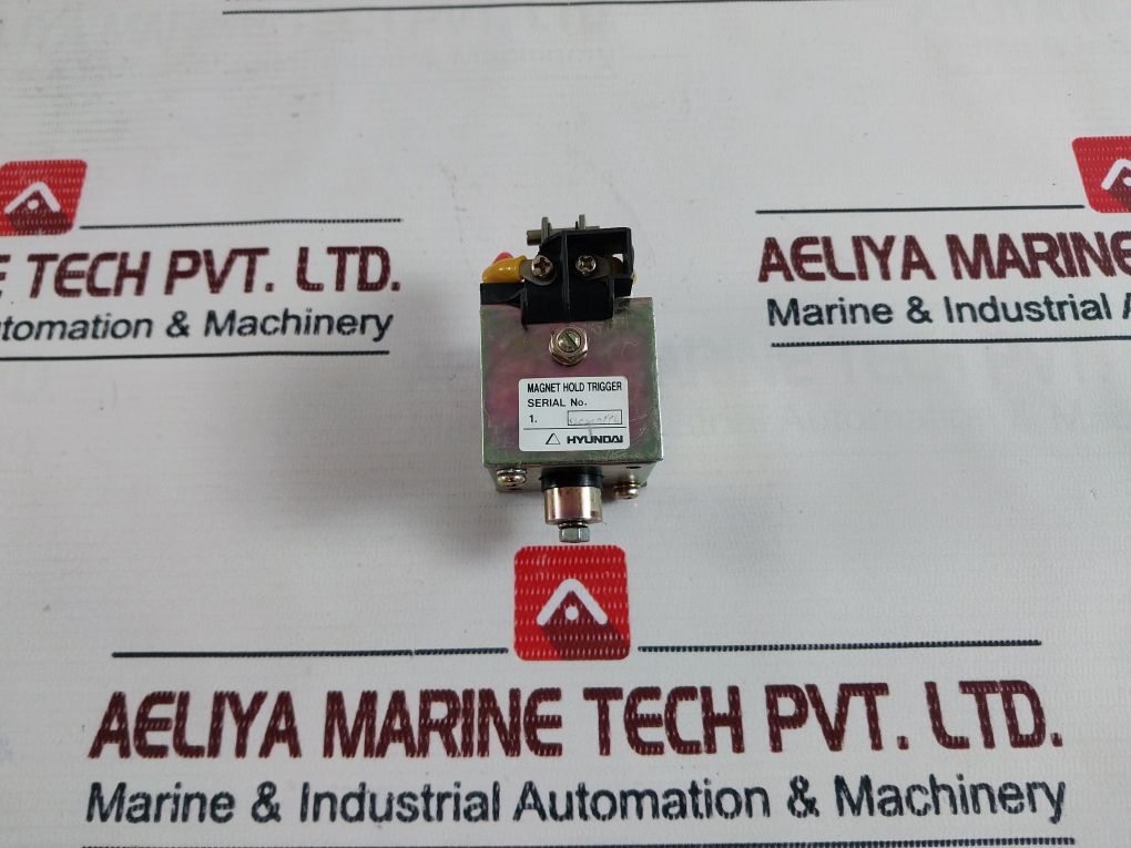 Hyundai Magnet Hold Trigger
