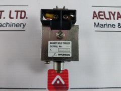 Hyundai Magnetic Hold Trigger