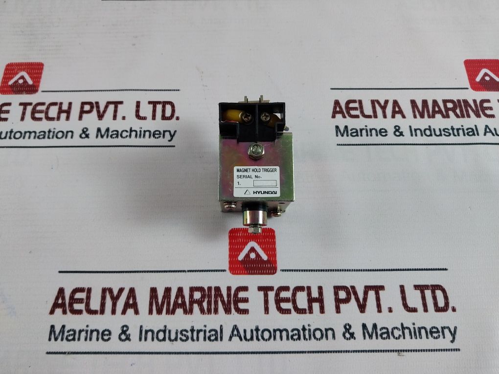 Hyundai Magnet Hold Trigger
