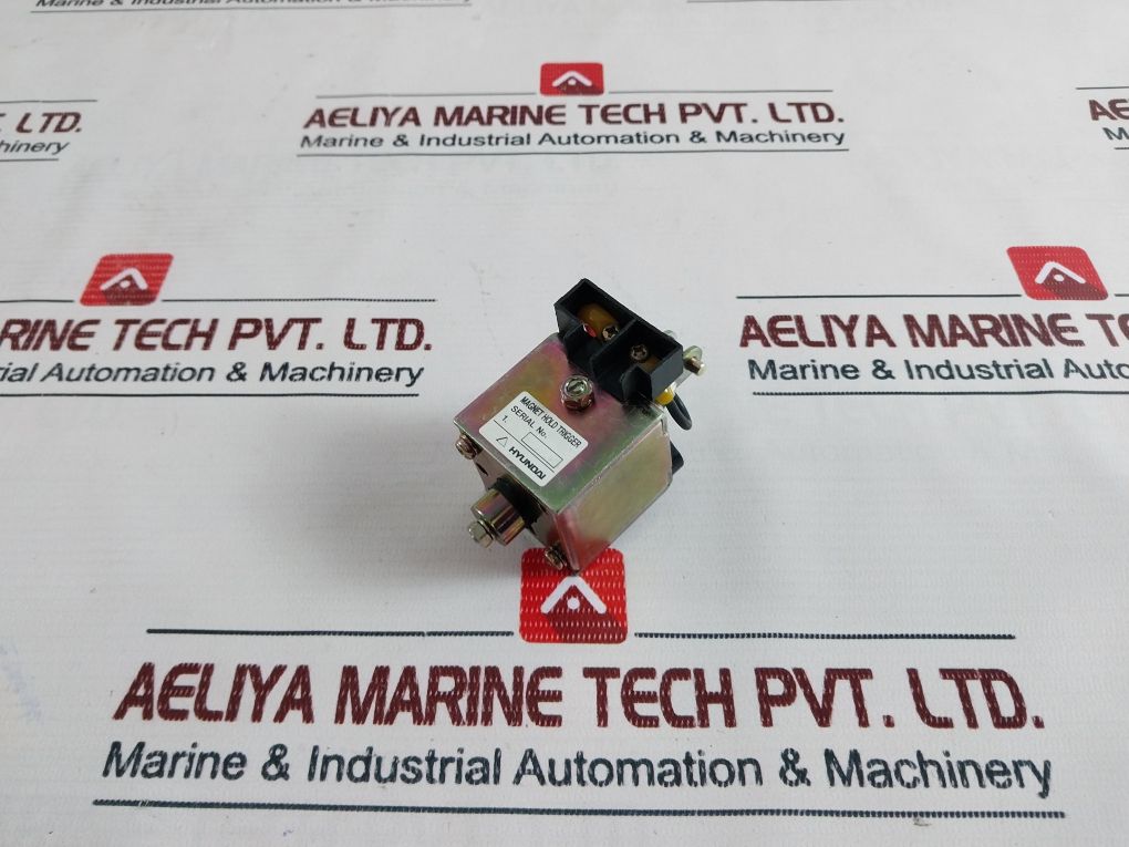 Hyundai Magnetic Hold Trigger