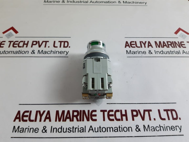 Idec Alfd29911Dn-g-24V Pushbutton Switch