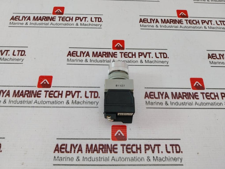 Idec Apw116R Control Unit 100/110V 50-60Hz