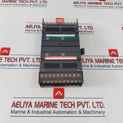 Idec Izumi Pfj-t162Cu Dc Transistor Input/Output Unit Pfj-n162U