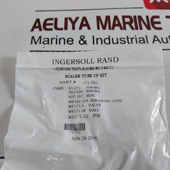 Ingersoll Rand 172-tk2 Tune Up Repair Kit