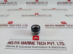 Ironpump Hqr-025-75177 Mechanical Seal