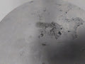 J.P. Sauer & Sohn 036983 Piston