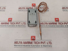 Johnson Controls A19Abc-24 Temperature Control -30/100°F
