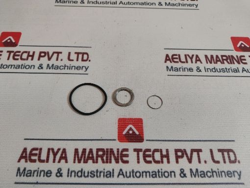 Johnson Mechanical Seal Set