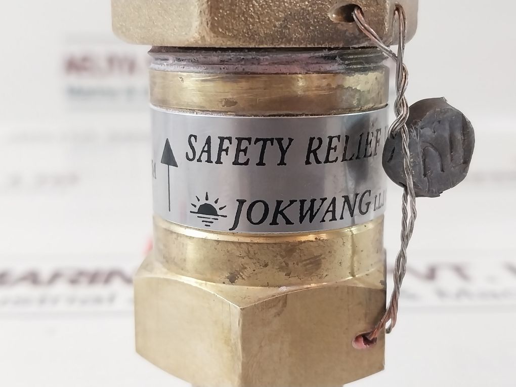 Jokwang D-1 Safety Relief Valve