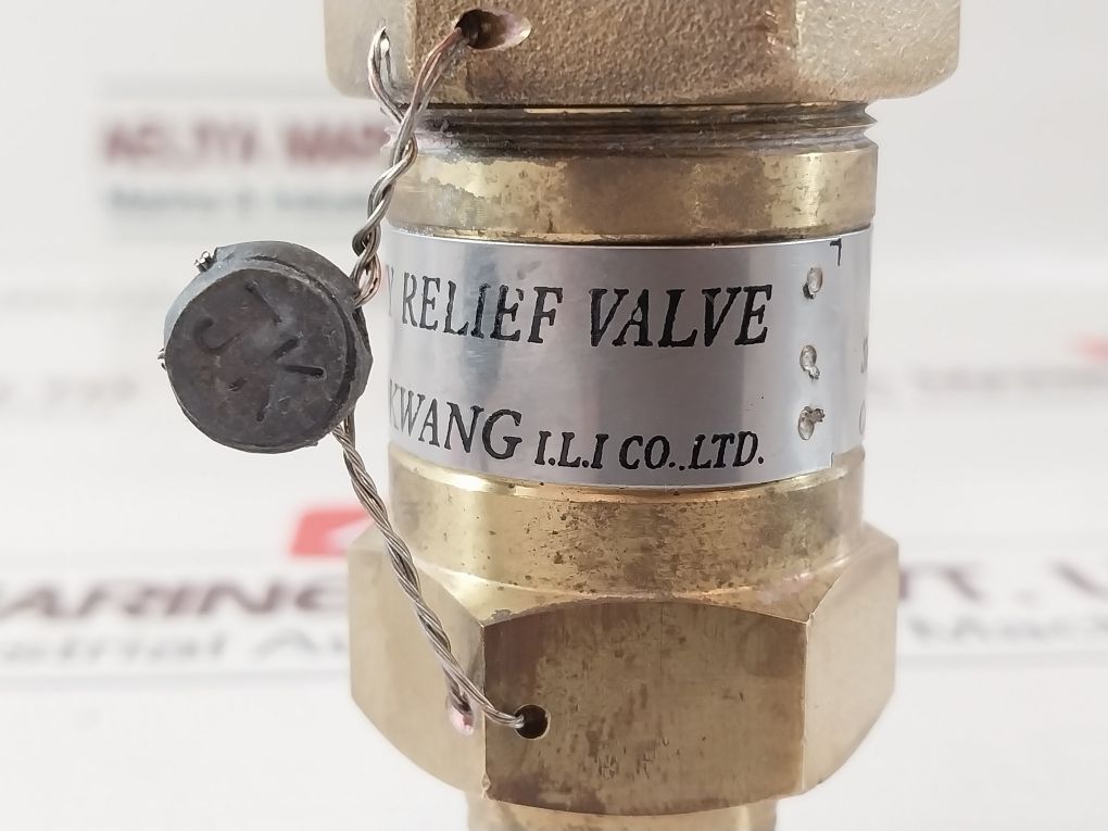 Jokwang D-1 Safety Relief Valve